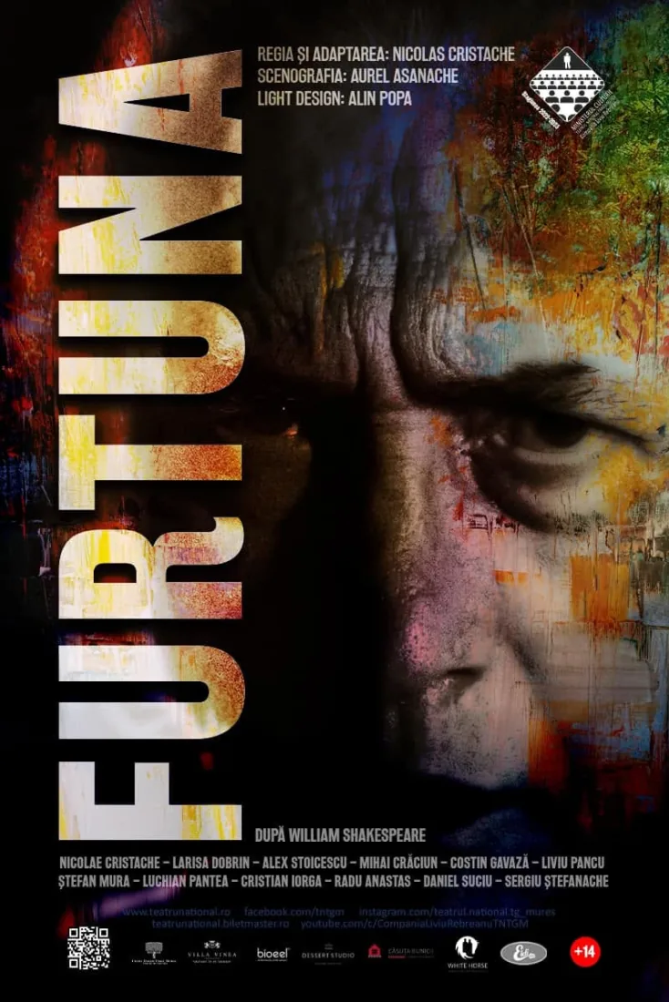 Afiș: Furtuna
