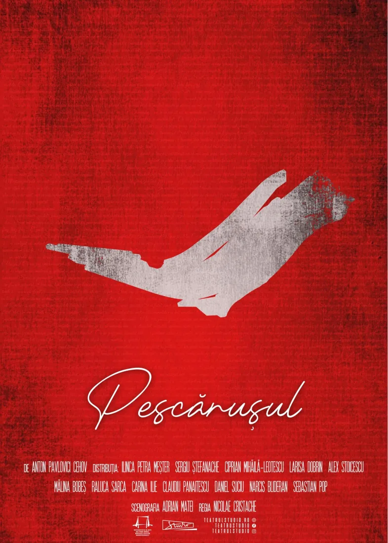 Afiș: Pescărușul